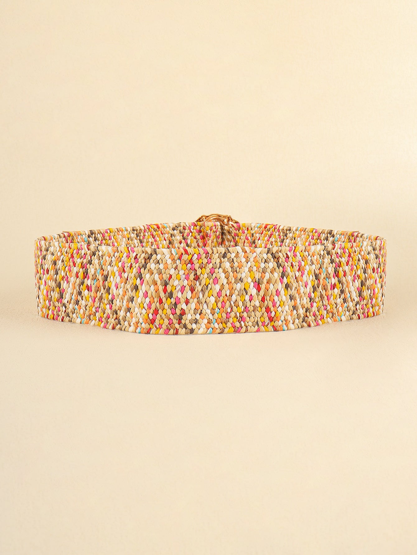 Belt - Wide Multi-Colored Weave